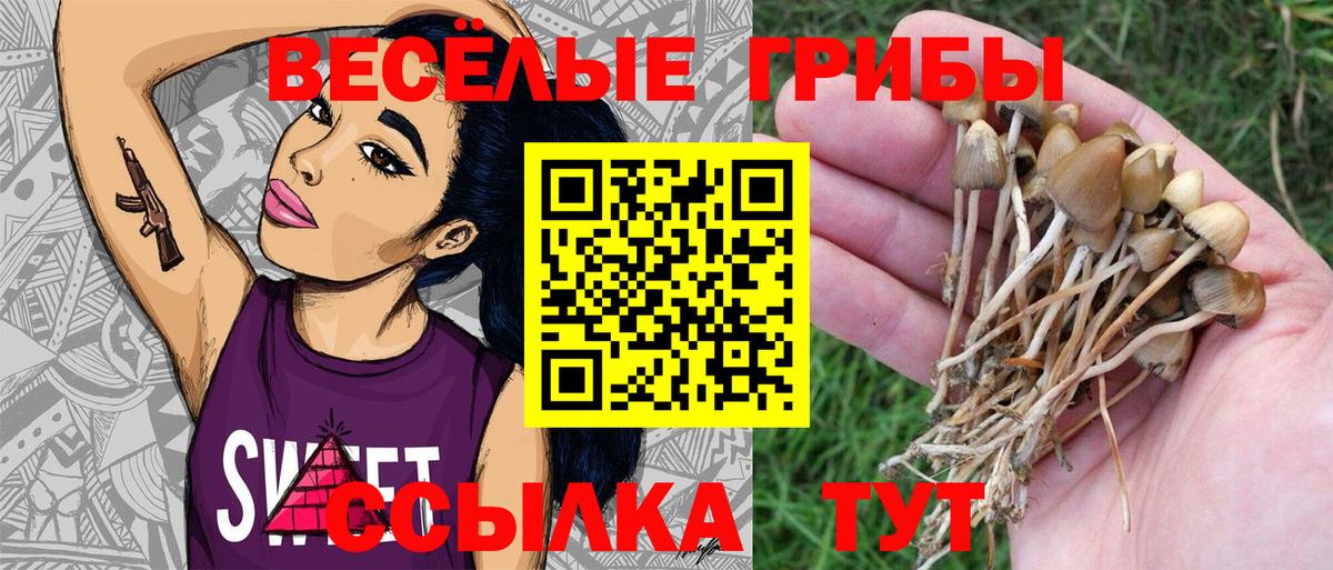 Свободный  Галлюциногенные грибы мицелий  Вход с VPN 