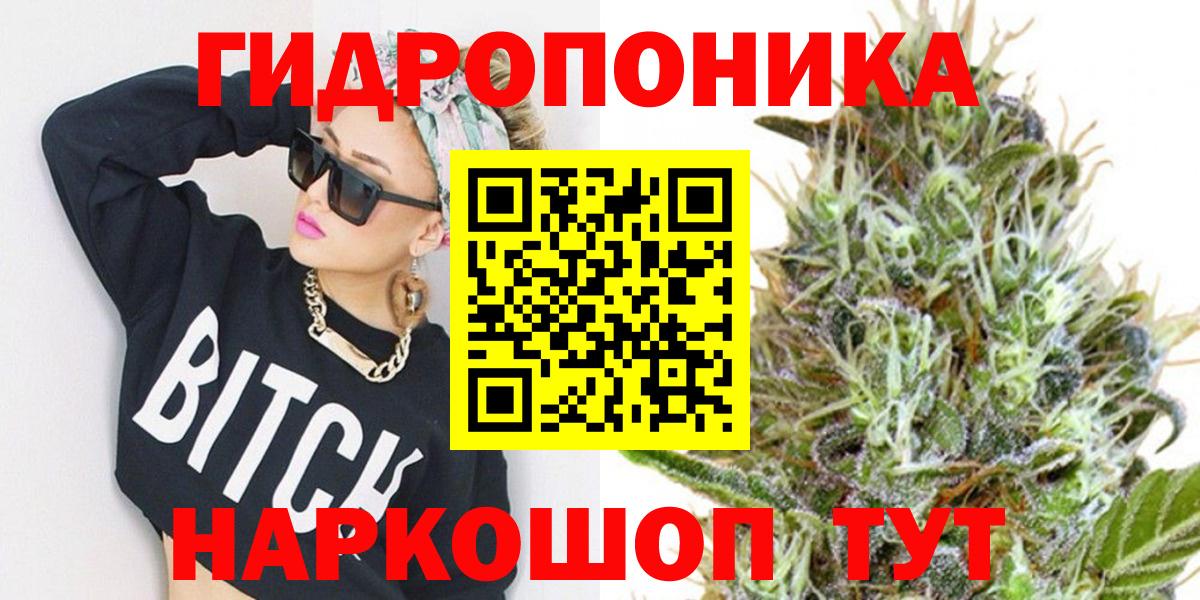 Галлюциногенные грибы Свободный